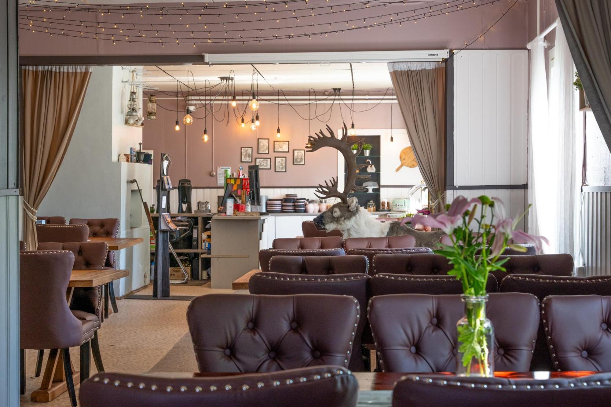 Arctic Guesthouse & Igloos Ranua Ngoại thất bức ảnh